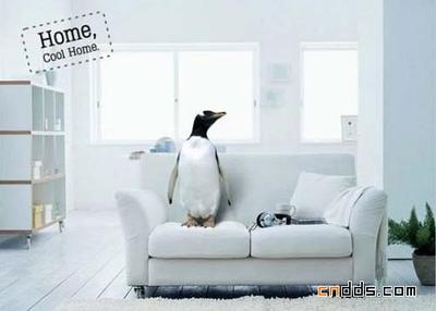 创意广告设计 从概念到视觉的魔法之旅